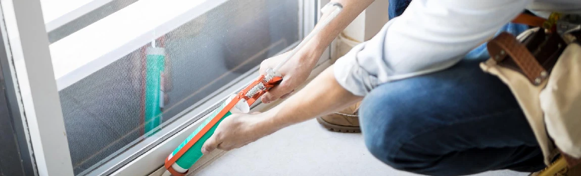 Emergency Window Replacement Services in The Crossings, FL